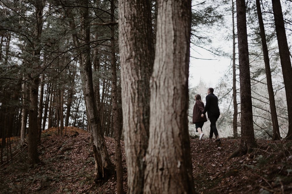 A couple holds hands and walks through a tall pine forest. Seen between the trunks of the trees.